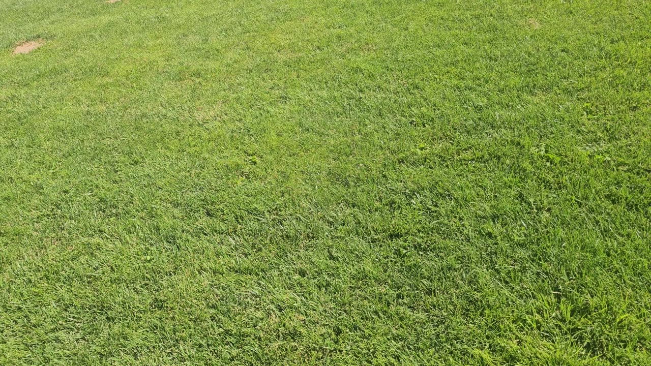 Luca at the park