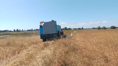 Farmer in Nothern Sri Lanka