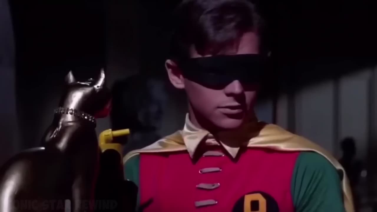 Holy Cats! 🐈 A Cat! 😺