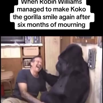 In memory of Robin. RIP???