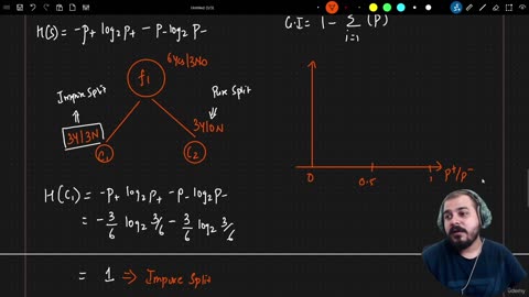 31.2 Entropy and Gini Impurity Krish Naik ML