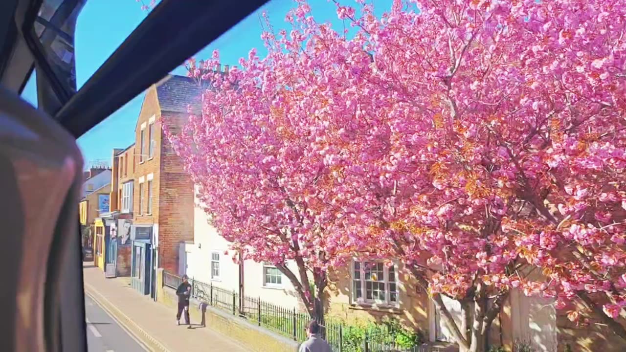 Xiaomi 13 Pro - APR25 REEL - RAW UNCUT