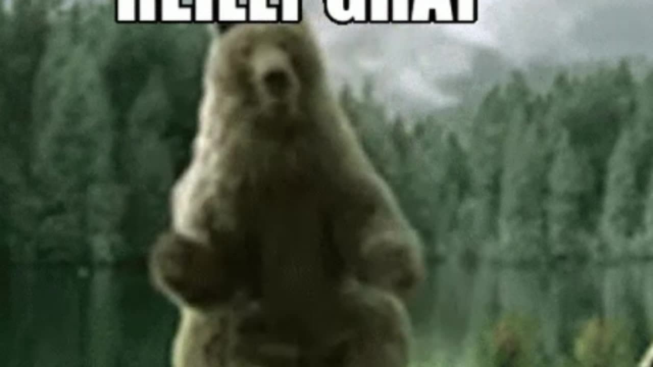 BEAR DANCE MUSIC - Made with Clipchamp.mp4