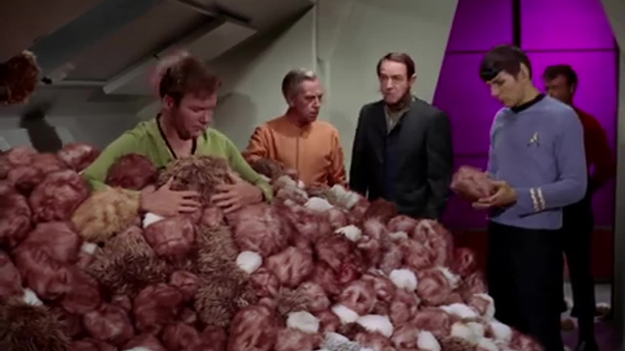 Star Trek - The Trouble with Tribbles
