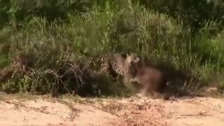 Best Hunting