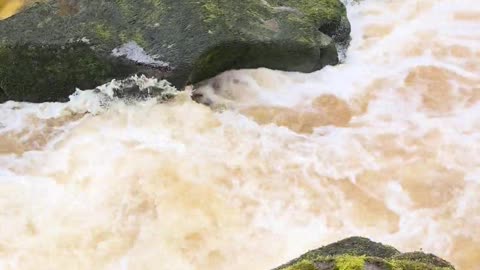 💀🌊 The Deadly Strid! | TheHauntingHour