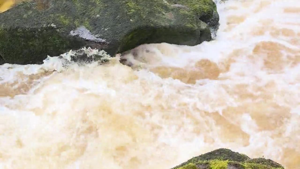 💀🌊 The Deadly Strid! | TheHauntingHour