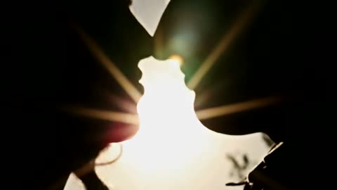 Silhouette of a kissing couple, Romantic Moments