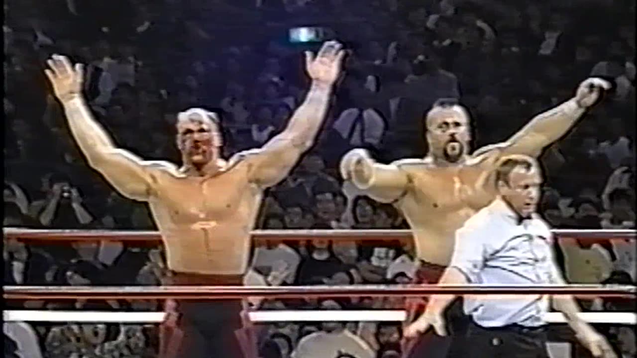 (1991.03.30) Genichiro Tenryu & Hulk Hogan vs The Road Warriors - SWS/WWF Wrestlefest