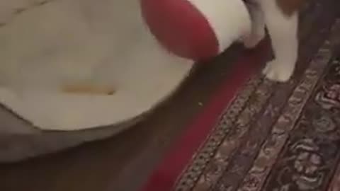 Me Hungry