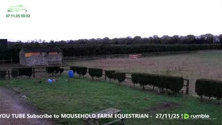 Mousehold Farm All Weather Riding arena