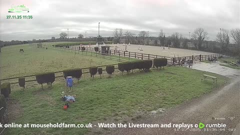 Mousehold Farm All Weather Riding arena