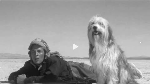 A Boy and His Dog 1975 and Fallout
