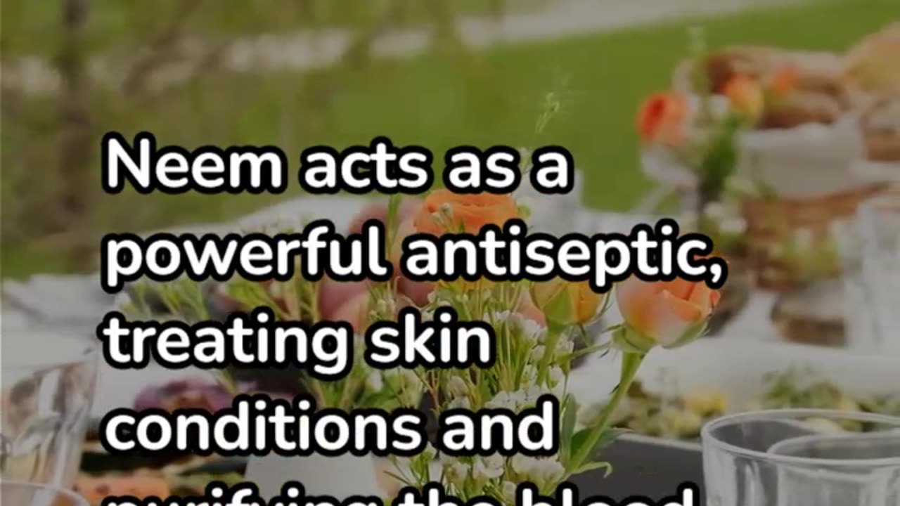 Top 5 Indian Herbs for Natural Remedies and Their Healing Powers