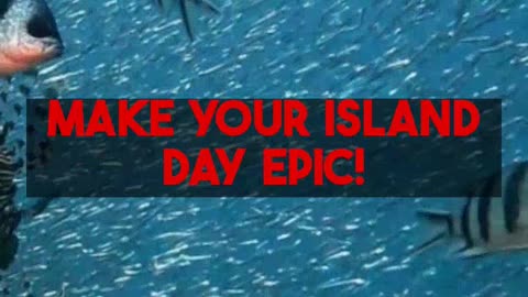 Exploring Cozumel Top Activities for Cruise Visitors