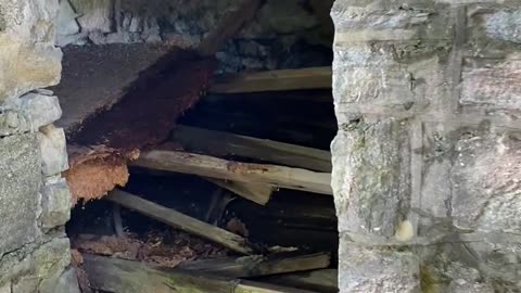 WHAT DO YOU THINK THIS BUILDING WAS?