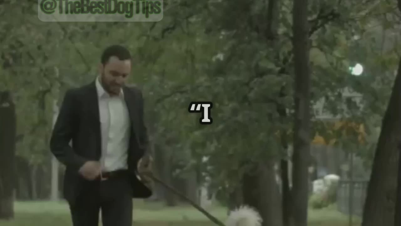 🎬 Episode 10: The Off-Leash Jogger – Total Meltdown or Breakthrough?