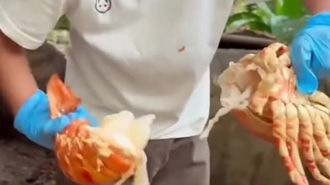 The Secret Lobster Superfood You Didn’t Know About!