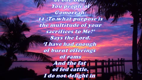 Matthew 12:7 - Daily Bible Verse Commentary