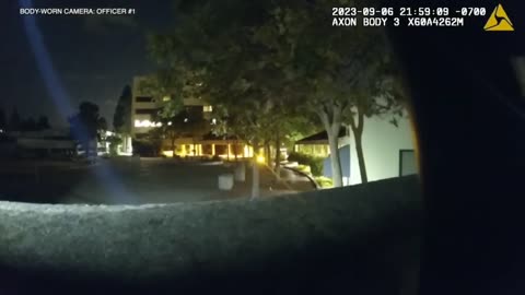 Hayward Police Shoot Illegal Armed with a BB Gun