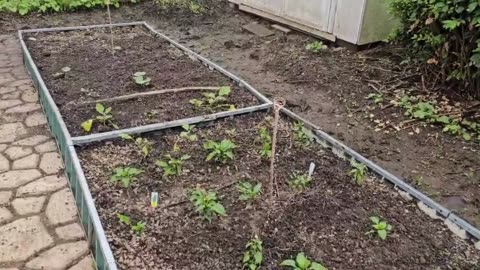 My Garden Project