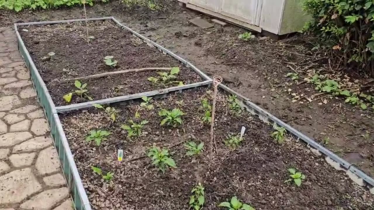 My Garden Project