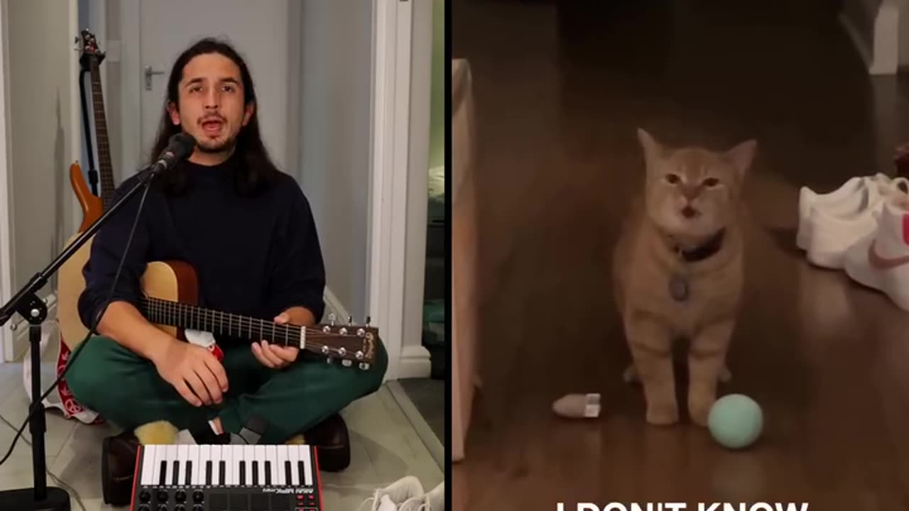 I Go Meow - The Kiffness x Cala ..Gone but never forgotten ❤️