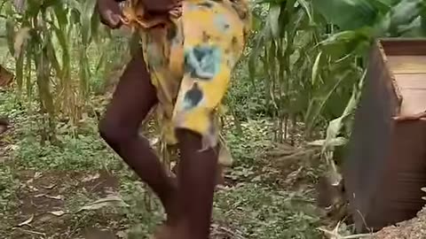Best funny video.
