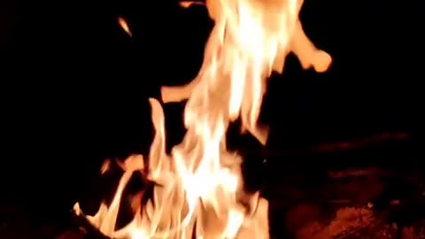 Daily Horoscope | Aries 🌟