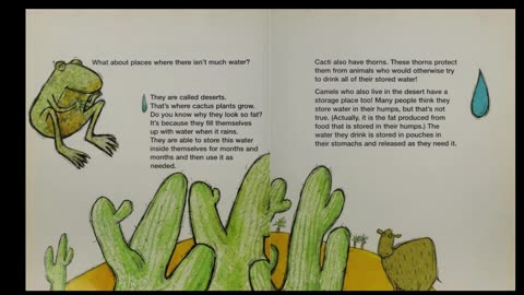 Rain, Where Do You Come From