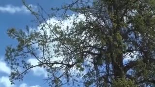 Test your rain water 💧☠️