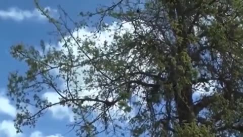 Test your rain water 💧☠️