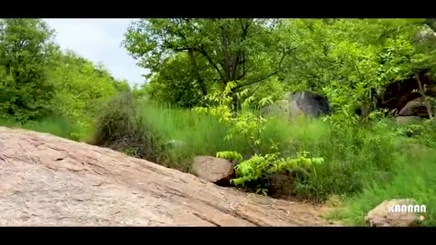 திருப்பரங்குன்றம்