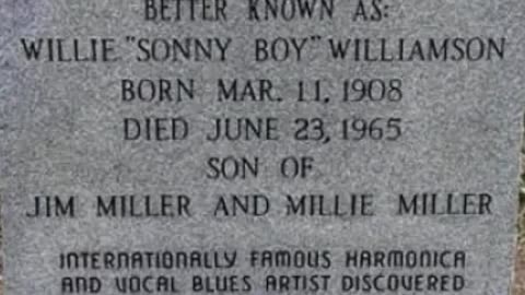 GUN LAWS IN ACTION - VOL. 520: THE MURDER OF SONNY BOY WILLIAMSON