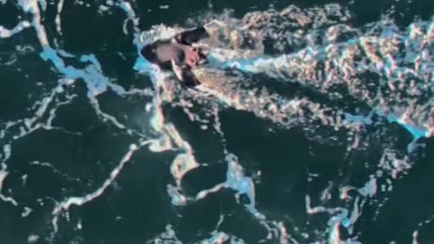 Enjoy this INCREDIBLE breach shot WOW For more watch Great White Comeback tonight on Discovery