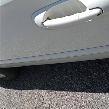 traveling, around, fish, lake, utah