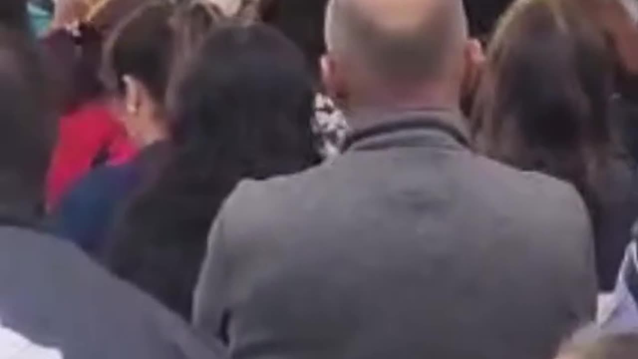 Video 2- Sequence of videos showing the shooting