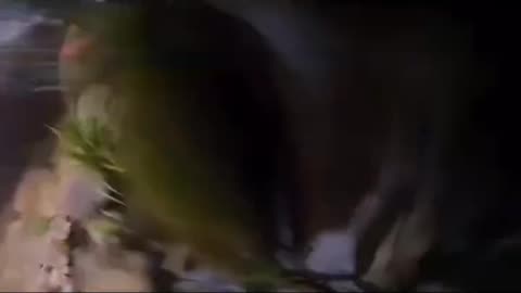 "Baeka at High Speed Lost Control 😱 Fell Off the Bridge!"