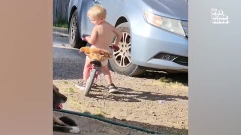 Cutest & Funniest Animal Moments Ever! 🐶😹 You’ll Be Laughing Nonstop!