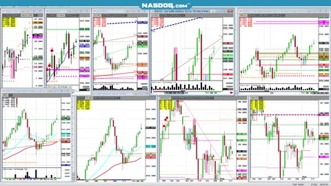 Aug13 am Grain open, USDA next day