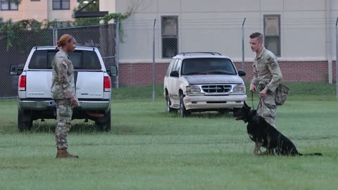 Fort Bragg Military Working Dog Training