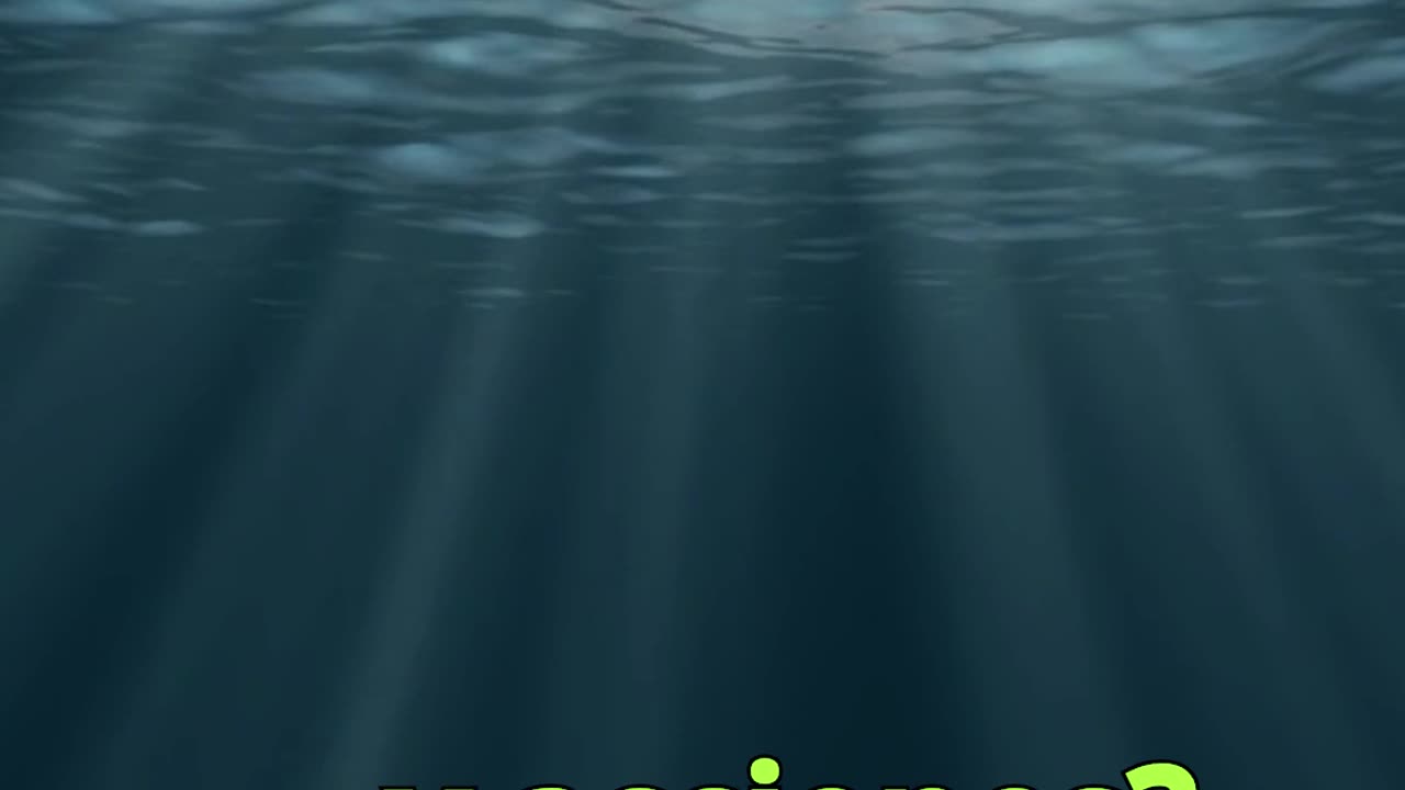 😊 112 TODO ESTÁ AL DESCUBIERTO Hebreos 4:13 😊