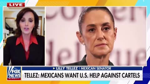 The Mexico City protests are happening because their President Claudia Sheinbaum works for the Cartel.