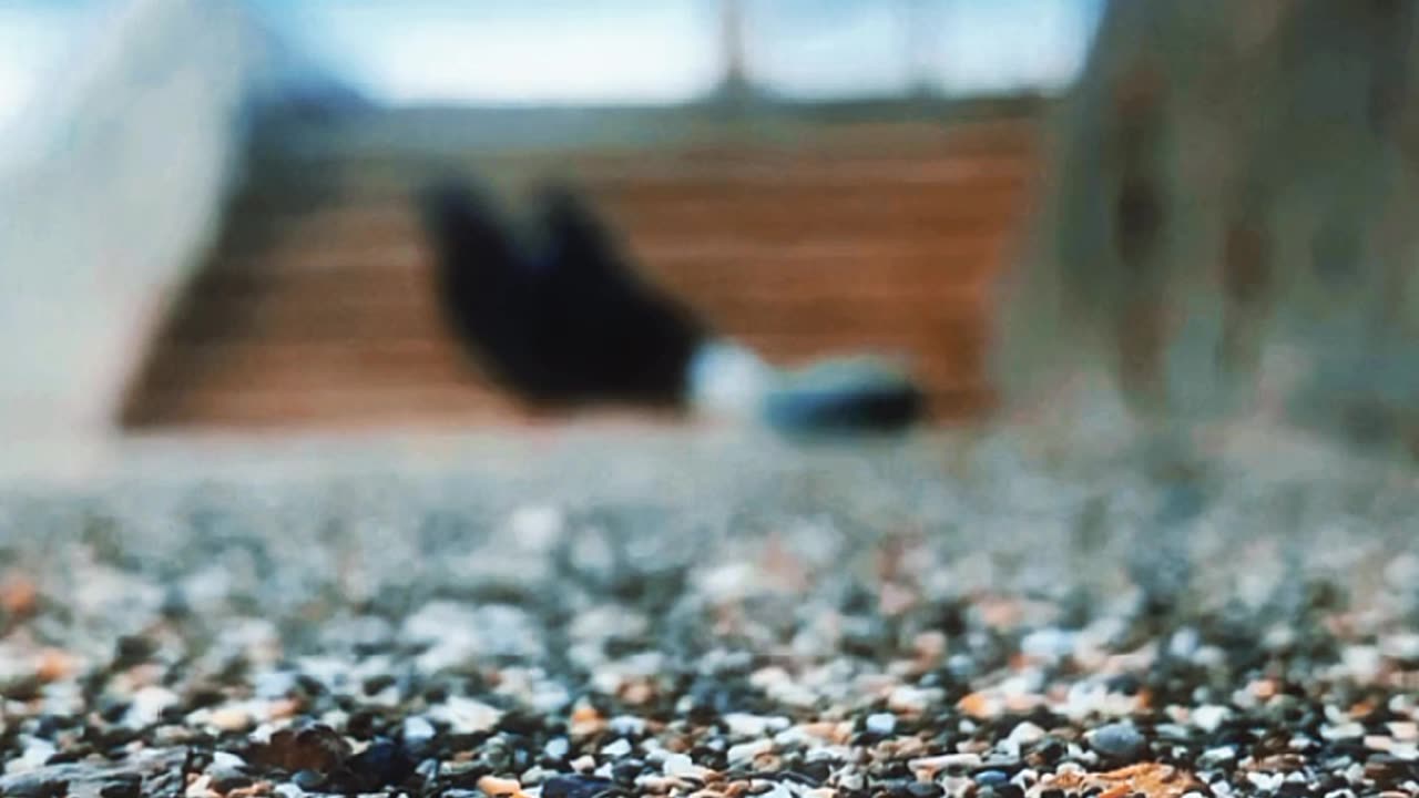 Islamic Reminder Video in Urdu