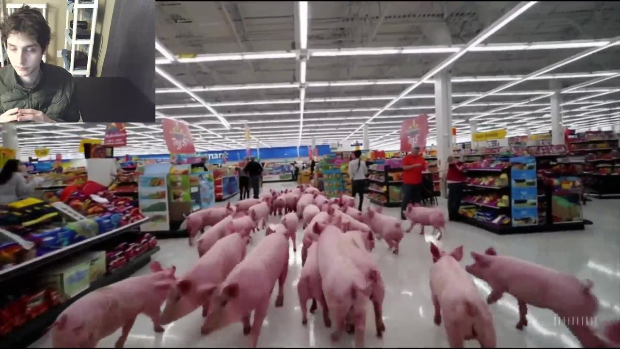 Over 20 Pigs Roam Around A Walmart Supercenter Fake Funny Parody Video With Live Commentary