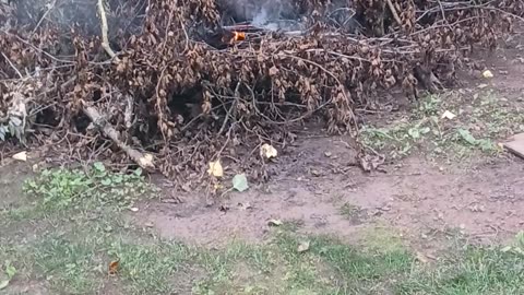 STARTING THE FIRE