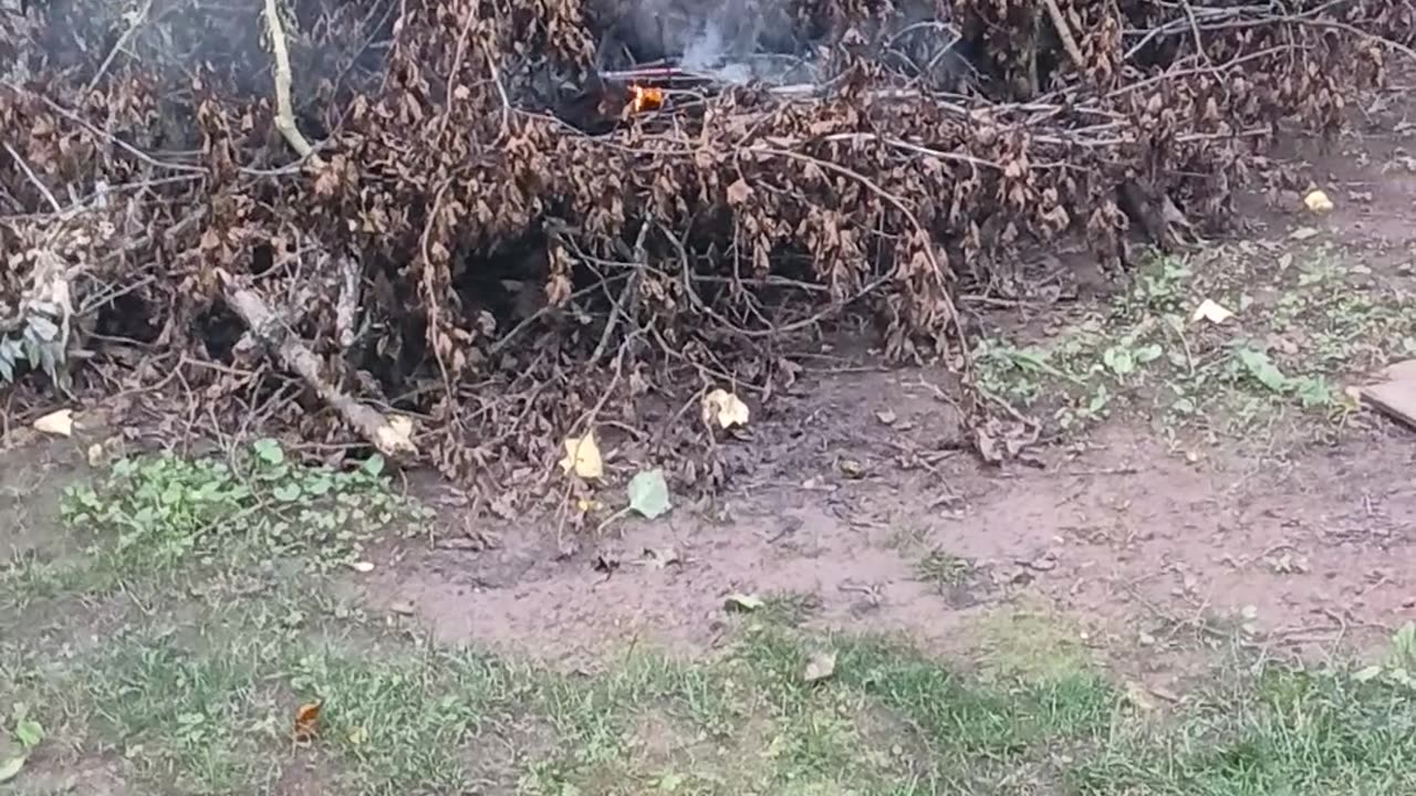 STARTING THE FIRE