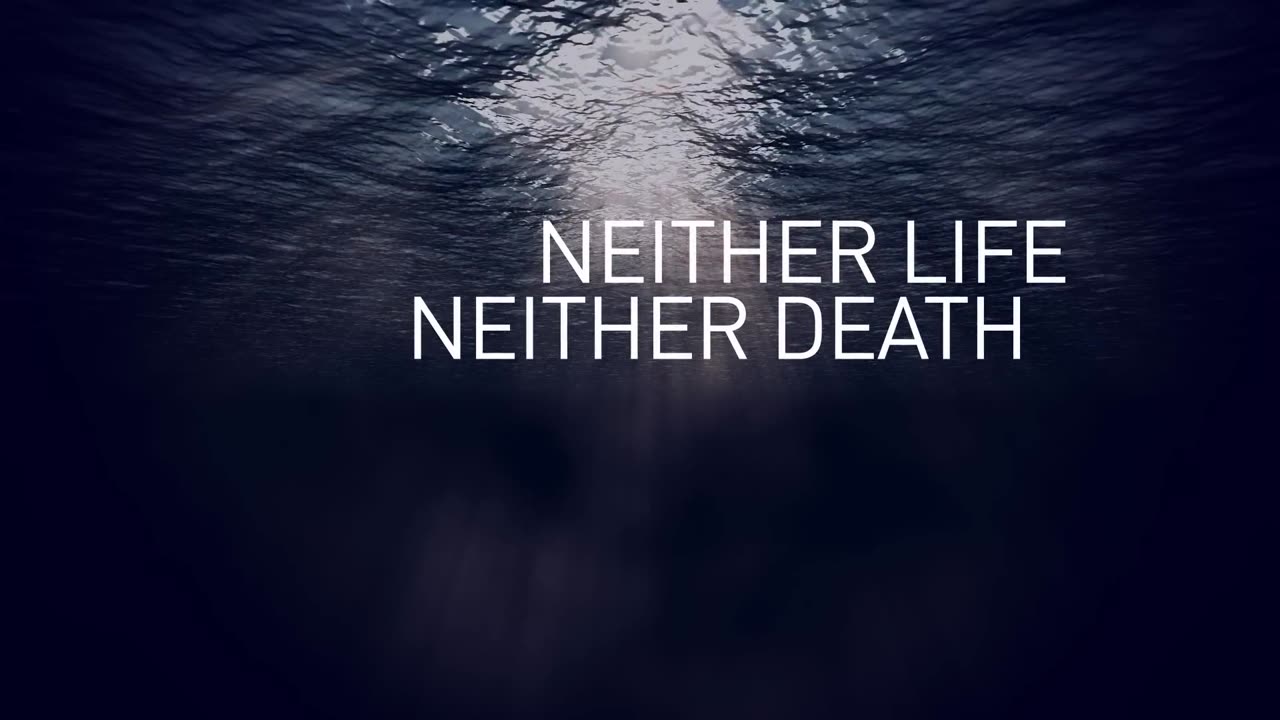 Michael W. Smith - You Won’t Let Go (Lyric Video).