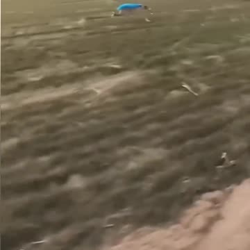 Let's see who wins.🙉😂👍