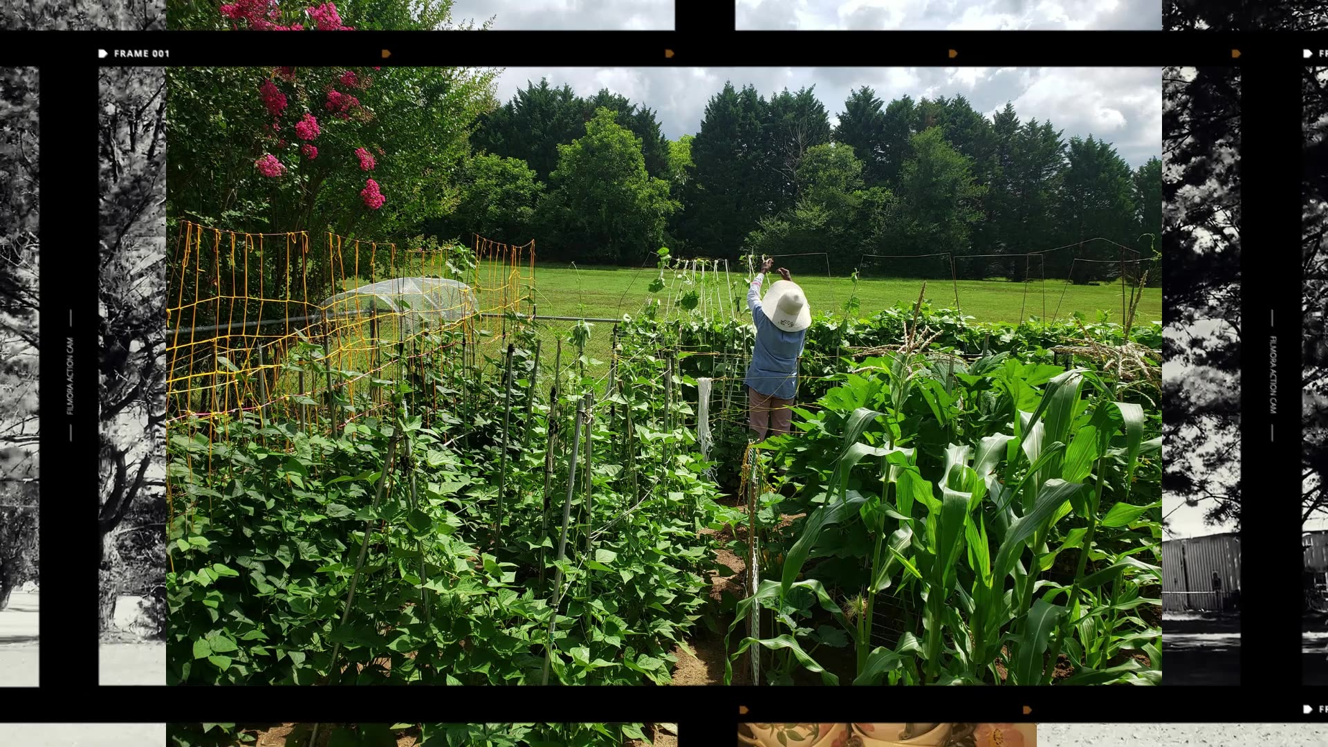 Help Us ReTake Our Home